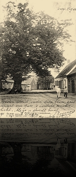 Zoersel Lindeboom met Bijl